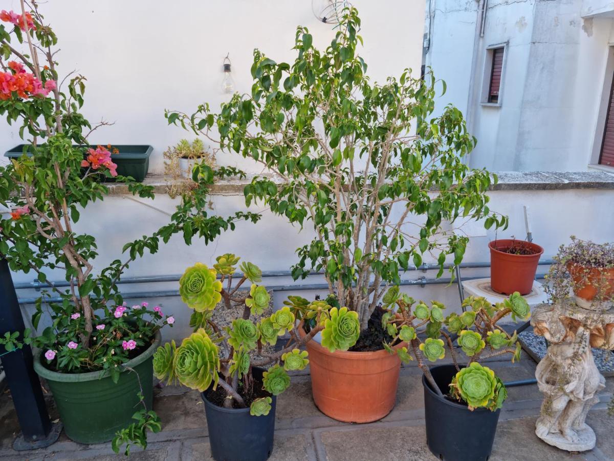 Green Palace Brindisi Zewnętrze zdjęcie